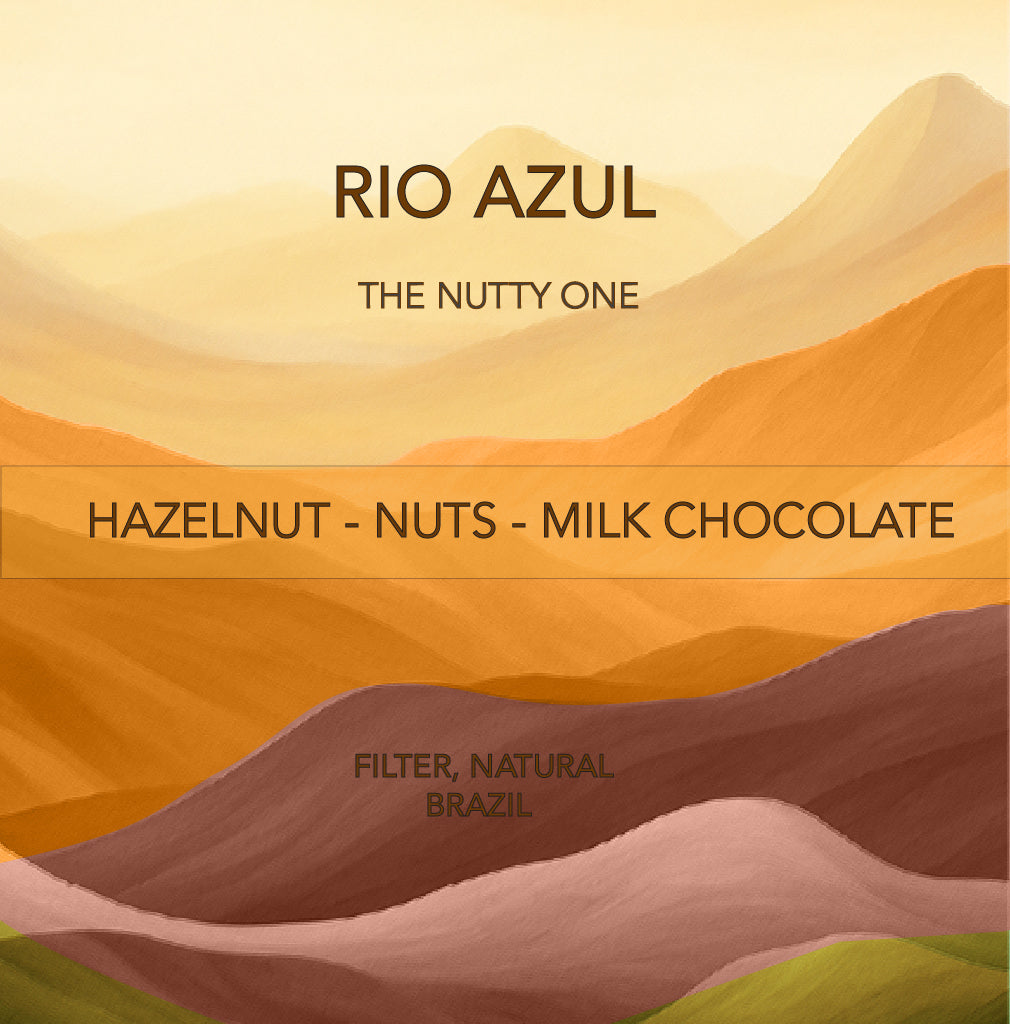 البرازيل ريو ازول مرشح