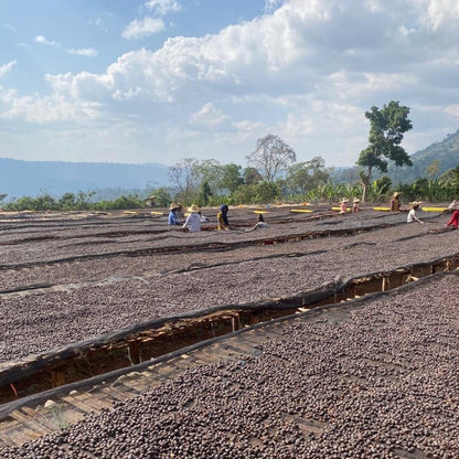 إثيوبيا مرشح شيلشيل