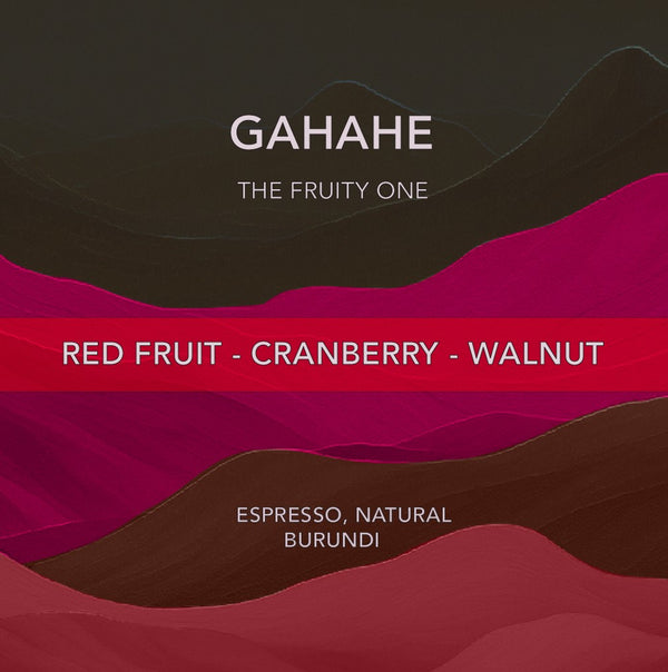 إثيوبيا مرشح شيلشيل