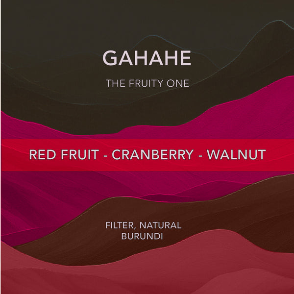 إثيوبيا مرشح شيلشيل