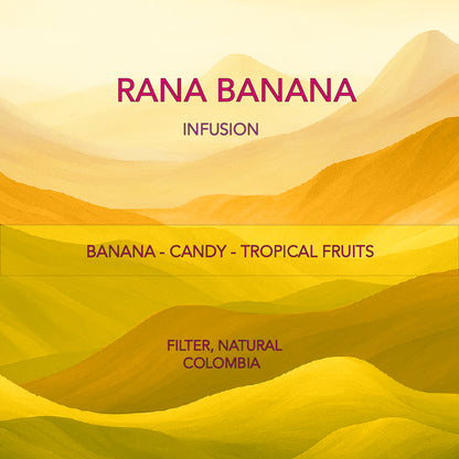 كولومبيا بوساكو فلتر العسل