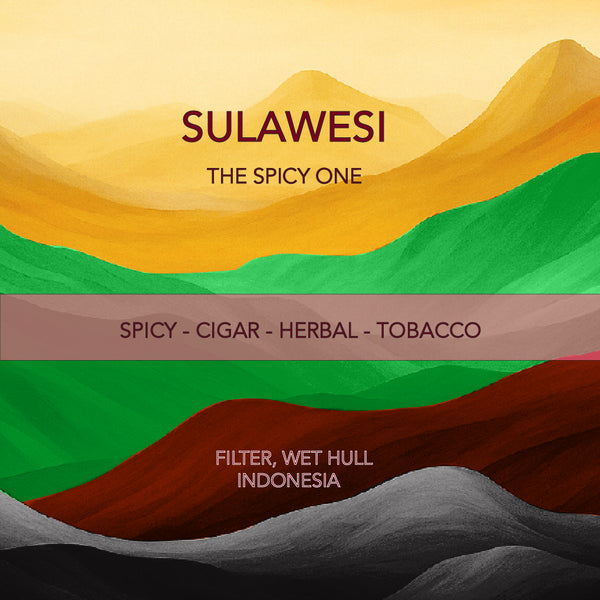 غواتيمالا روزاليندا مرشح