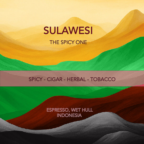 غواتيمالا روزاليندا مرشح