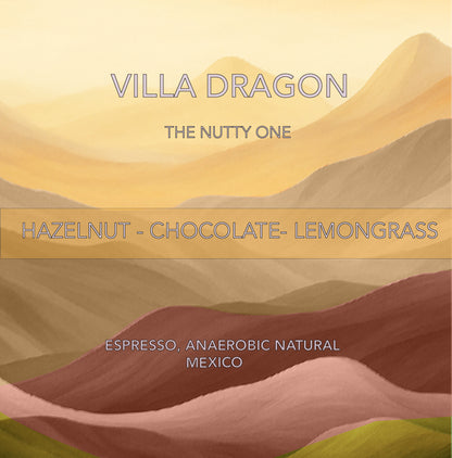 غواتيمالا روزاليندا مرشح